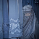 canicazul-blog avatar