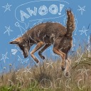 canidae-latrans avatar