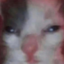 canihavesomesuhsi avatar