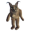 canijustbefookinskinny avatar