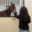 canimus-surdis avatar