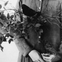 canincennetee avatar