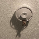 caninefangsgroundblunt avatar