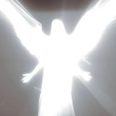 canines-of-the-saviour avatar