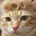 canis-starwolf avatar