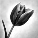 canloveloveme avatar