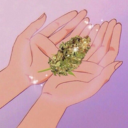 cannabis-is-love avatar