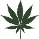 cannabis-oil-for-sale avatar