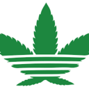 cannabisboyinc-blog avatar