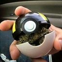 cannabismadhatter2 avatar