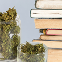 cannabisreviewers avatar