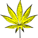 cannalovers avatar