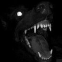 cannibalcanid avatar