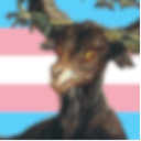 cannibalcaprine4 avatar