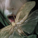 cannibalfears avatar