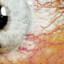 cannibalistics avatar