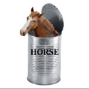 canofhorses avatar