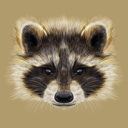 canonicalcatastrophe avatar