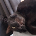 cant-decide-on-a-username avatar