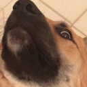 cant-unsubscribe-from-adulthood avatar