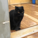 cantakerous-basterd avatar