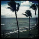 cantchangemypast avatar