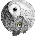 cantemoiuosta avatar