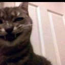 canyonyodeler avatar