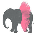 canyoufindtheelephant-blog avatar