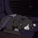 caos-de-noviembre avatar