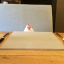 caos-mental-z avatar