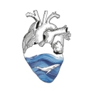 caos-mentales avatar