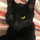 caosintomyhead avatar