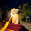 caotico-sonhador avatar