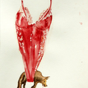 caperucitalamasroja avatar