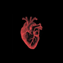 capillary-collective avatar