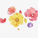 capitalcursor avatar