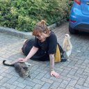 capitalise-fear avatar