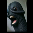 capitan12sblog avatar