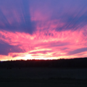 capitansparklyunicorns avatar