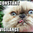 capoeira-fighter avatar