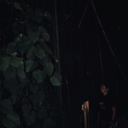 capriciousways avatar