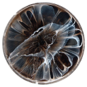 capricorn333bitch avatar