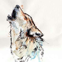 capricornation avatar