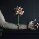 capricornioyo avatar