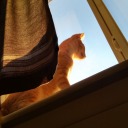 capricornphobia avatar