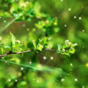 capricorntraveler avatar