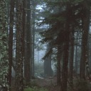 capricornwritesstuff avatar