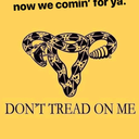 capricutey-blog avatar