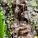 capsaicinangel avatar